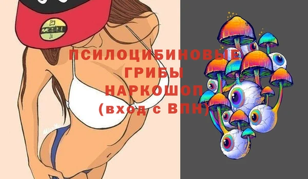 спайс Баксан