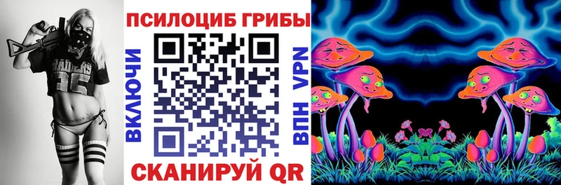Псилоцибиновые грибы Magic Shrooms  купить закладку  Пущино 
